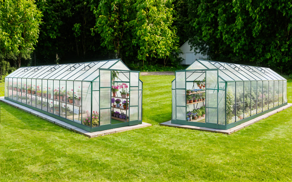 Sweet Garden Sovereigns: How to Choose the Right Greenhouse for Your Garden