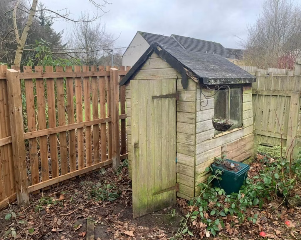 Garden Shed Placement: Wall VS Fence Installation