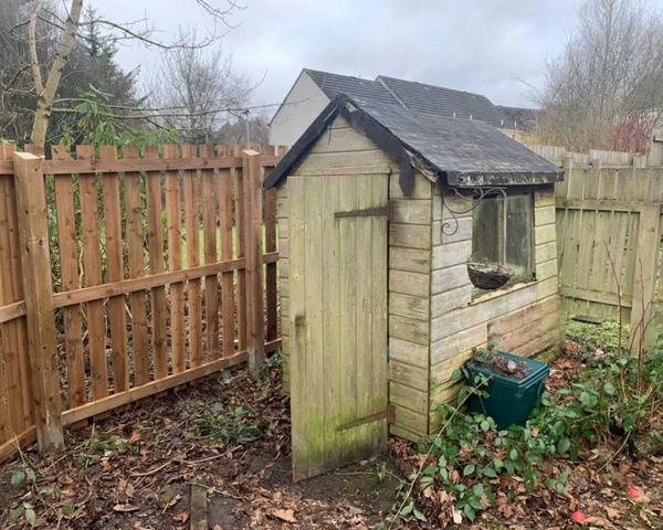 Garden Shed Placement: Wall VS Fence Installation