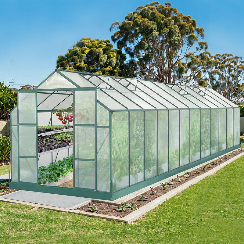 EcoPro 6mm 10-36ft Long x 8ft Wide Greenhouse