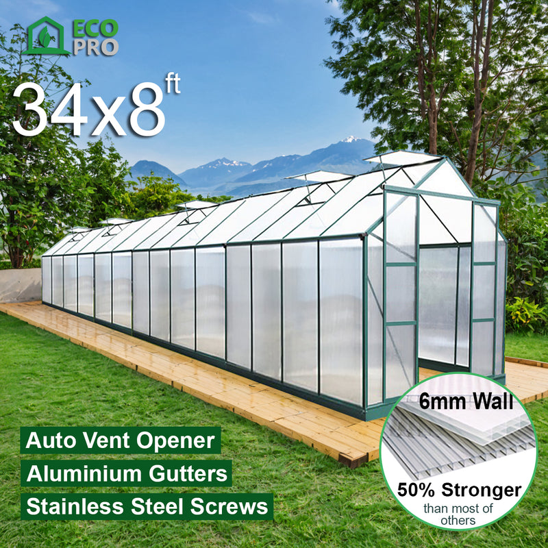 EcoPro 6mm Greenhouse 34 x 8ft