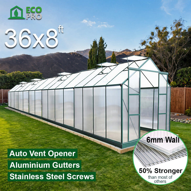 EcoPro 6mm Greenhouse 36 x 8ft