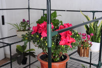 EcoPro 143 x 143 x 195cm Walk-in Tunnel Greenhouse PE Cover Plant Garden Green Shade