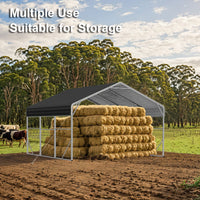 Double Carport 6m x 7.53m x 4.14m Backyard Portable Vehicle & Boat Shelter with Wrapped Roof