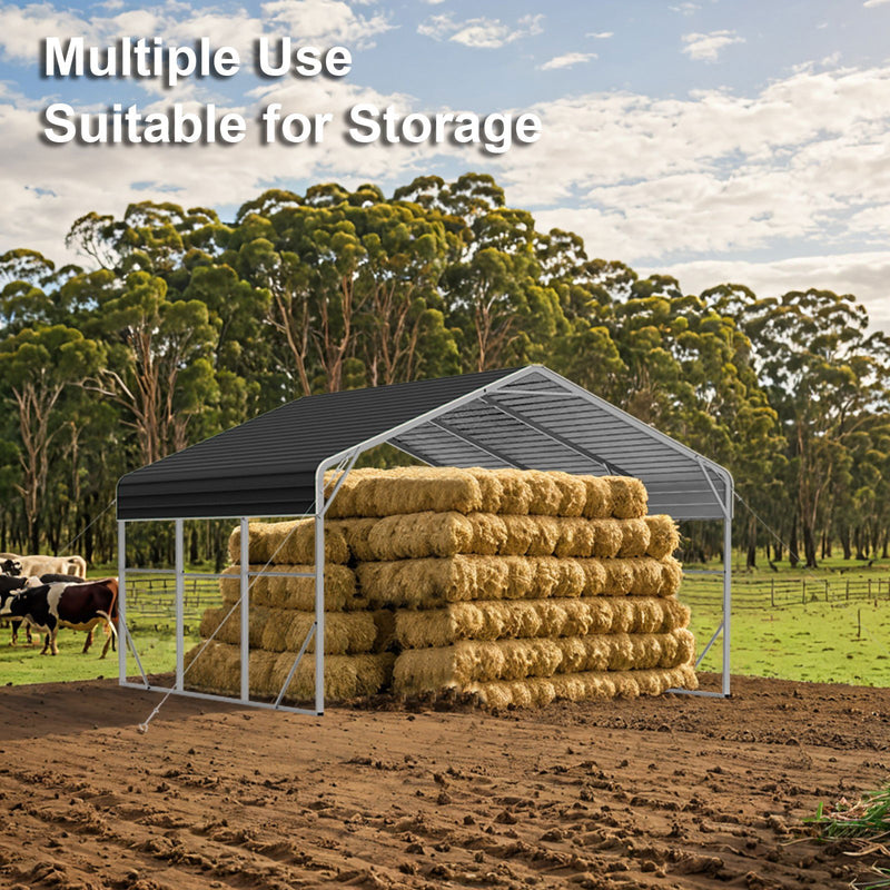 Double Carport 6m x 7.53m x 4.14m Backyard Portable Vehicle & Boat Shelter with Wrapped Roof